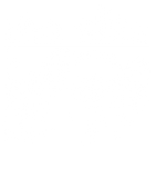 Discover Tshirt The Slits punk rock