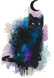 Discover Night moon black cat