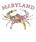 Discover Maryland State Blue Crab Pride Flag T Shirt