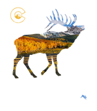 Discover Colorado Elk Hunting T Shirt
