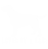 Discover Labrador Retriever: Loved by a Lab!