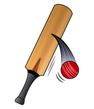 Discover Cricket Bat and Ball