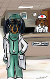 Discover Doxie  Doctor