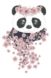 Discover Panda face and Sakura