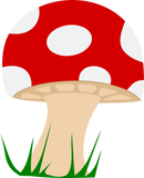 Discover Polka-dot Mushroom