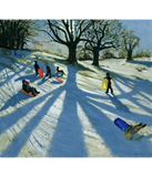 Discover Winter Tree Snow Sledgers Calke Abbey Derby