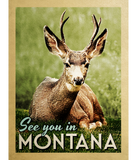 Discover See You In Montana - Stag Deer Wildlife