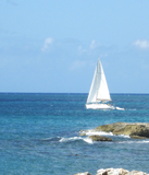 Discover Sailboat in the Ocean