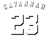 Discover Athletic sports white grey custom name number