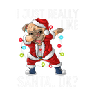 Discover I Just Really Like Santa Claus OK? Funny Pug Chris