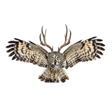 Discover Christmas horned owl