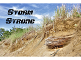 Discover Storm Strong