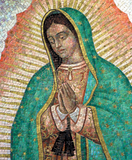 Discover Webp.net-resizeimage (26)Our Lady Of Guadalupe