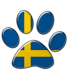 Discover Swedish patriotic cat