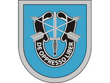 Discover 9th Special Forces Group