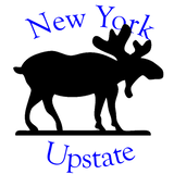 Discover Upstate New York Moose