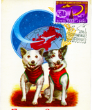 Discover BELKA AND STRELKA DOG ASTRONAUTS FROM THE 60's