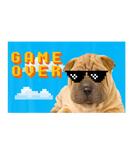 Discover 8-Bit Game Over Chinese Shar-Pei