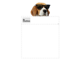 Discover Beagle In Pocket