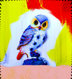 Discover Bright colorful Owl decor
