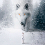 Discover Giant white wolf