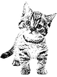 Discover Cute cat kitten | black graphic pen