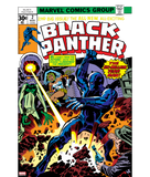 Discover Black Panther Vol 1 Issue #2 Comic Cover