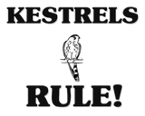 Discover KESTRELS Rule!