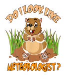 Discover A Meteorologist Groundhog,Groundhog Birthday Febru