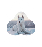 Discover World's Best Dog Dad Paw Print Shaped Photo