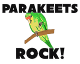 Discover Parakeets Rock