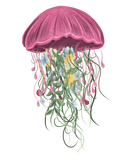 Discover Jellyfish Flowers