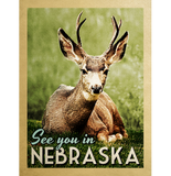 Discover See You In Nebraska - Stag Deer Wildlife