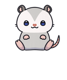 Discover Opossum Cute Kawaii Lover Anime Aesthetic Animal