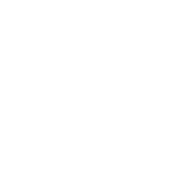Discover Family Reunion Summer Vacation Road Trip Cool Tree