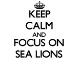 Discover Keep calm and focus on Sea Lions