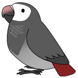 Discover Fluffy timneh african grey parrot cartoon drawing