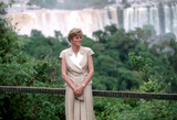 Discover Princess Diana Brazil 1991