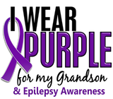 Discover I Wear Purple For My Grandson 10 Epilepsy