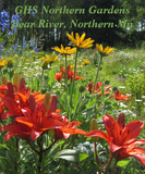 Discover Colorful Early Summer Gardens