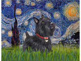 Discover Starry Night - Scottish Terrier 6 Sweat