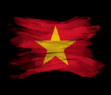 Discover Vietnam flag brush stroke, national flag