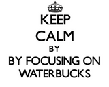 Discover Keep calm by focusing on Waterbucks