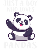 Discover boy loves pandas, valentine's day