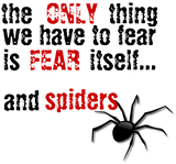 Discover Fear Spiders