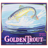Discover Golden Trout Brand Vintage Label