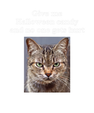 Discover Halloween Candy Funny Sarcastic Tabby Cats Meme Qu