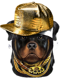 Discover Rottweiler Dog Wearing Hip Hop Rapper Cap