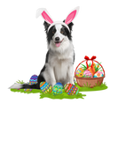 Discover Collie Dog Easter Egg Hunting Bunny Collie Easter