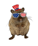 Discover American Stars Stripes Hamster 4Th Of July Cute US